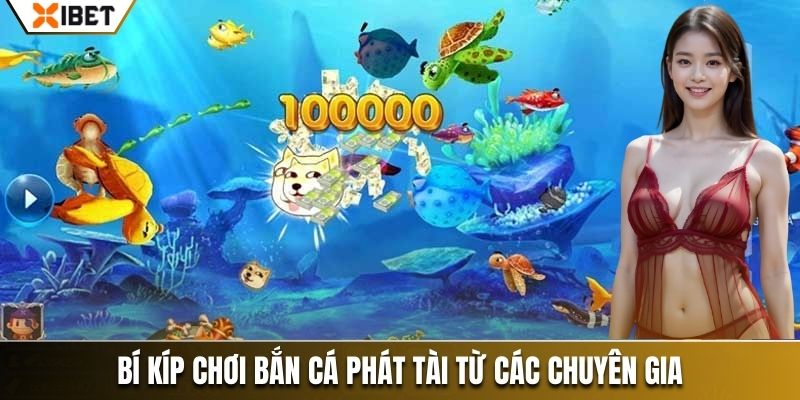 Bí kíp chơi Bắn cá Phát tài từ các chuyên gia