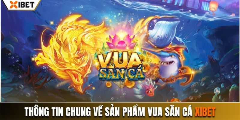 Các thông tin chung về sản phẩm vua săn cá Xibet cho người mới chơi
