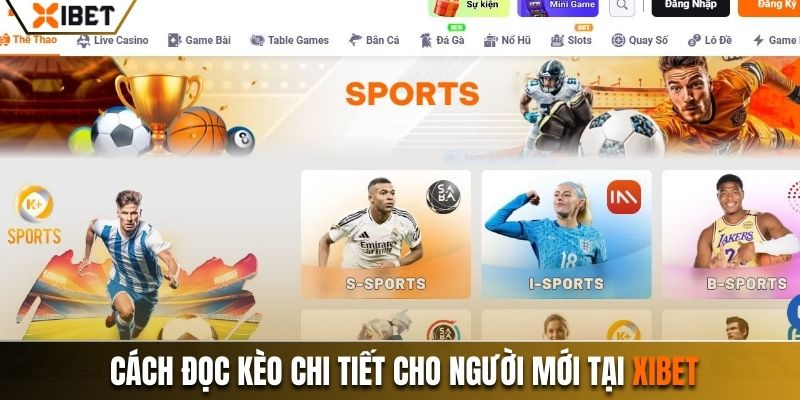 Cách đọc kèo chi tiết cho người mới tại Xibet