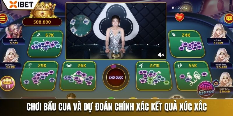 Chơi bầu cua và dự đoán chính xác kết quả xúc xắc