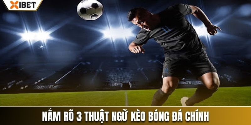 Nắm rõ 3 thuật ngữ kèo bóng đá chính