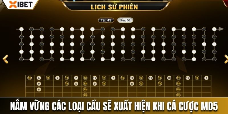 Nắm vững các loại cầu sẽ xuất hiện khi cá cược MD5