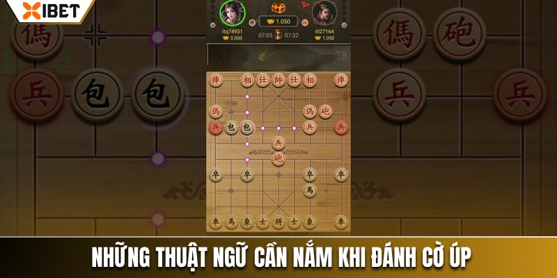 Những thuật ngữ cần nắm khi người chơi đánh cờ