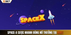 space-x xibet