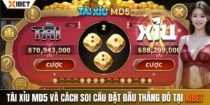 tài xỉu md5 xibet