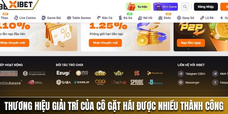 Thương hiệu giải trí của cô gặt hái được nhiều thành công