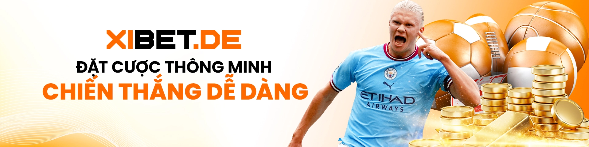 banner thể thao xibet de