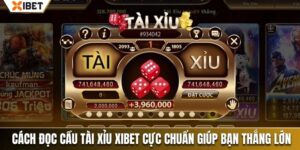 đọc cầu tài xỉu xibet